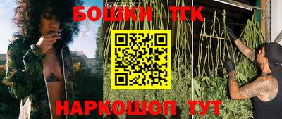 ECSTASY Сланцы