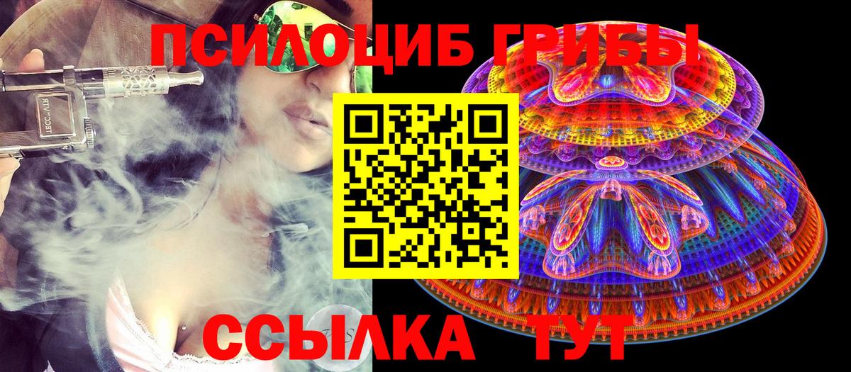 Псилоцибиновые грибы Cubensis Обнинск